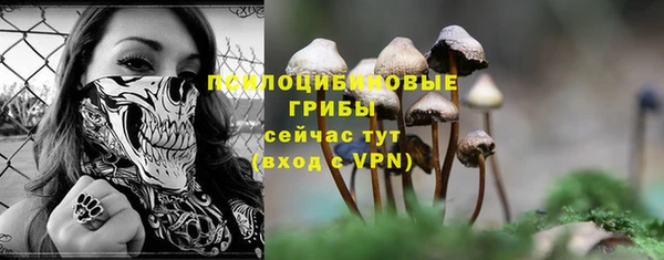 гидра Покров