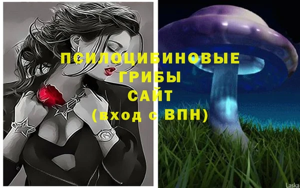 амф Балахна