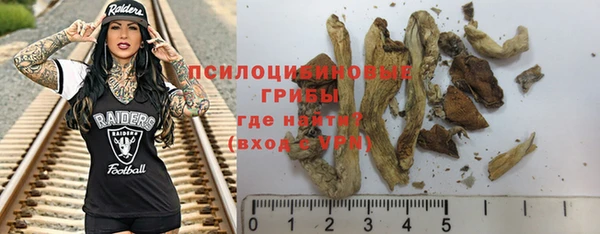 амф Балахна